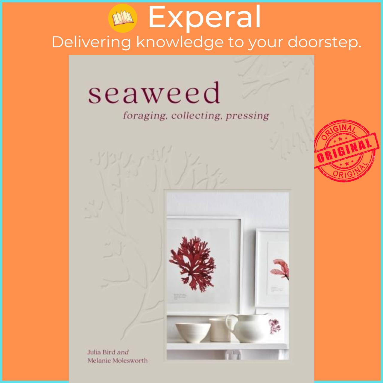 Sách - Seaweed - Foraging, Collecting, Pressing by Melanie Molesworth (UK edition, hardcover)