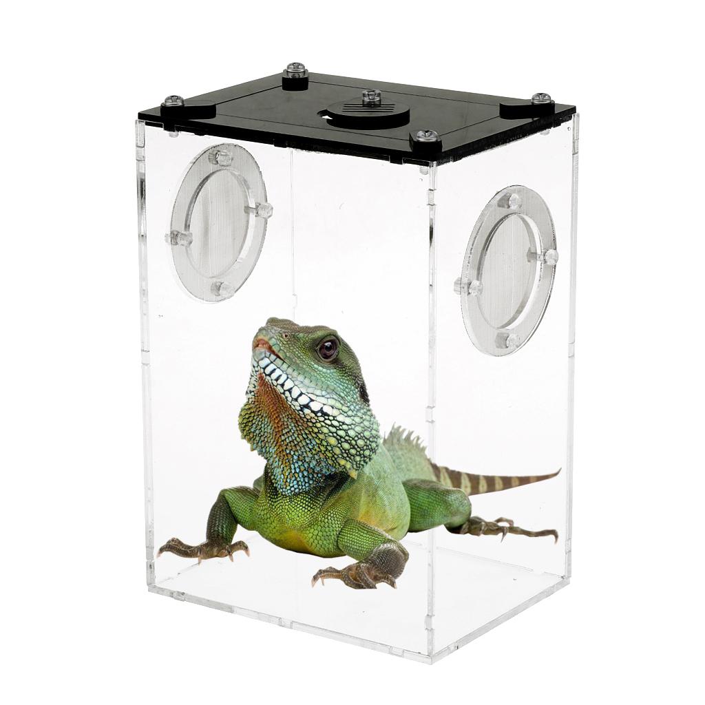 Reptiles Feeding Container Snake Insect Frog Breeding Tank Box Case