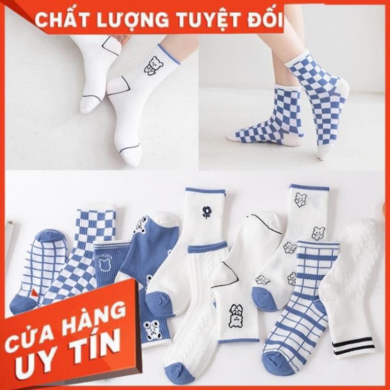 Tất Nữ Cổ Cao Tông Xanh Trắng Phong Cách Hàn Quốc tcc3