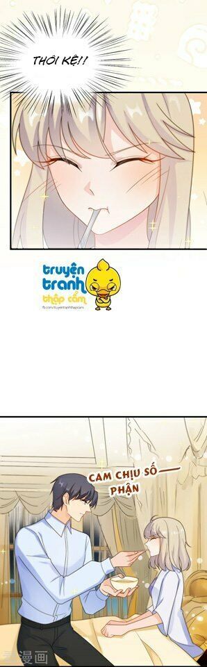 chọc tới chủ tịch tổng tài 2 chapter 67 15