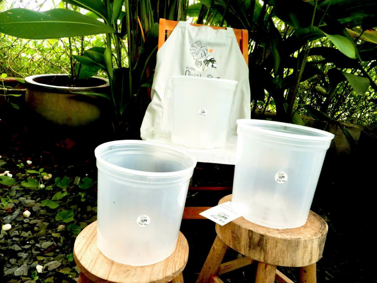 Chậu nhựa trắng trong 18x16cm, thoát nước tốt, chống bể vỡ, dễ lắp trụ rêu trồng cây.