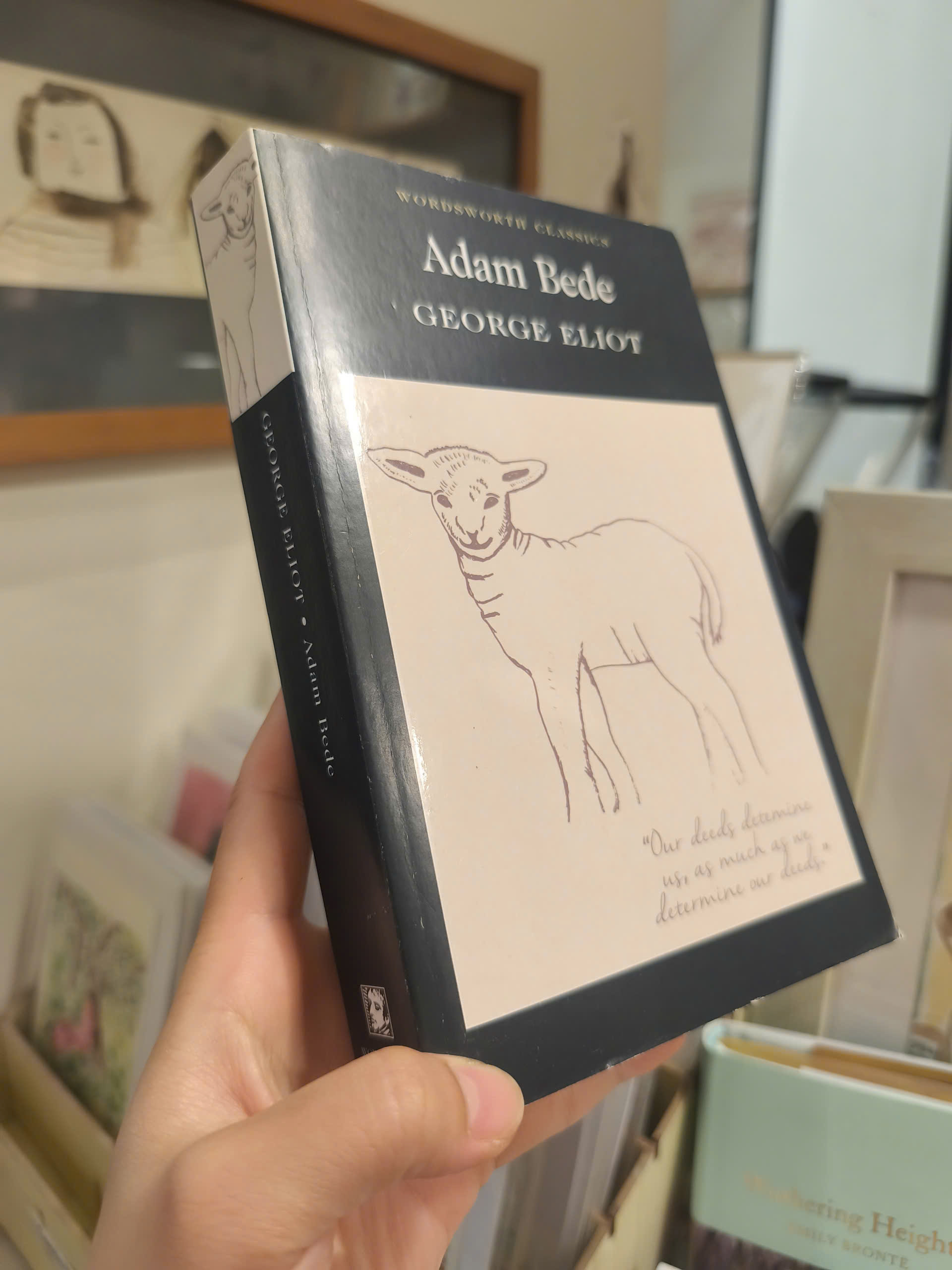 Sách - Adam Bede (Wordsworth Classics) by George Eliot
