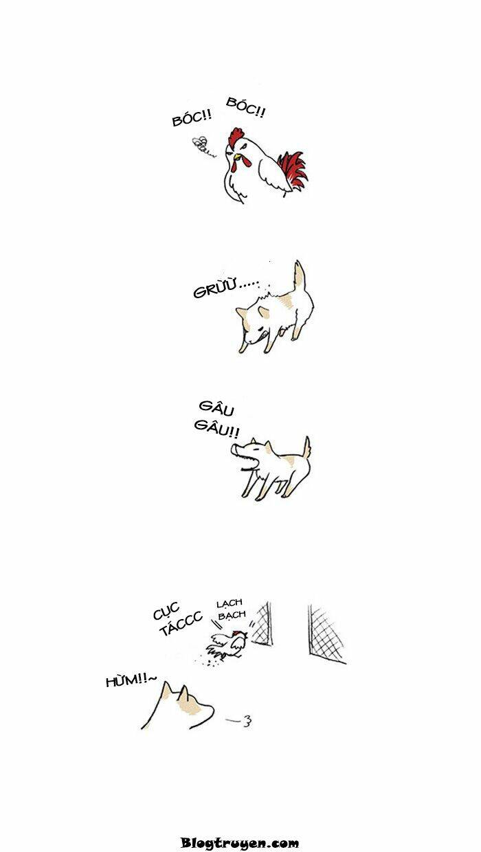 my kitty and old dog chapter 12 7