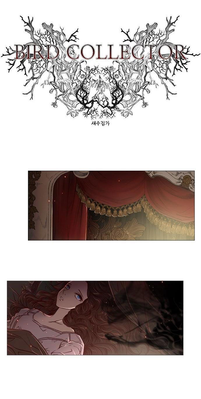 tôi chính là nhà sưu tập chim chapter 16 7