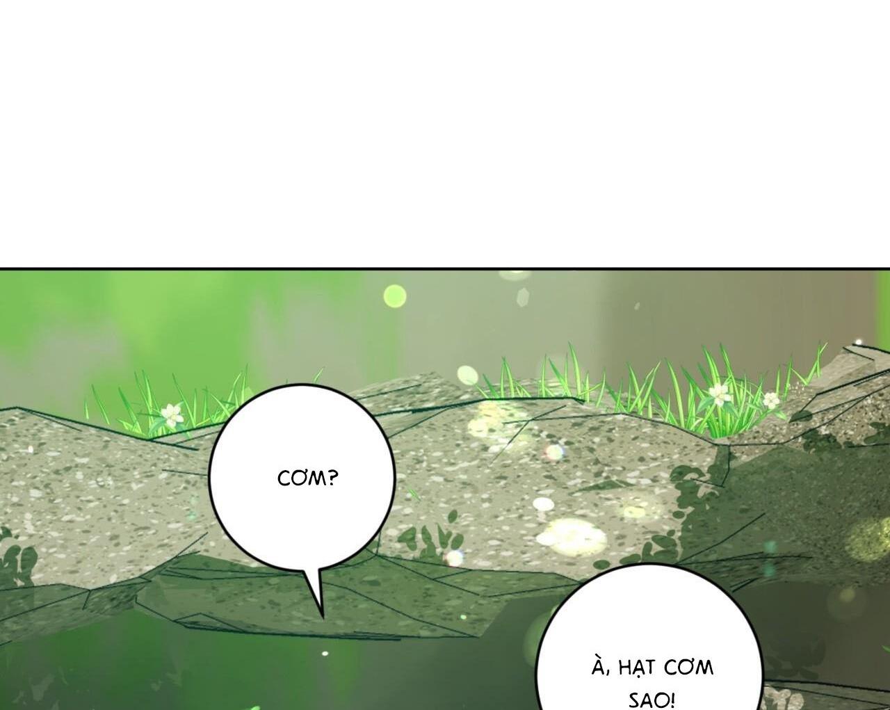 khu rừng tĩnh lặng chapter 4 24