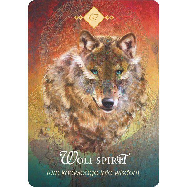 Spirit Animal Oracle - Bộ Bài Tarot Thần Thú Oracle