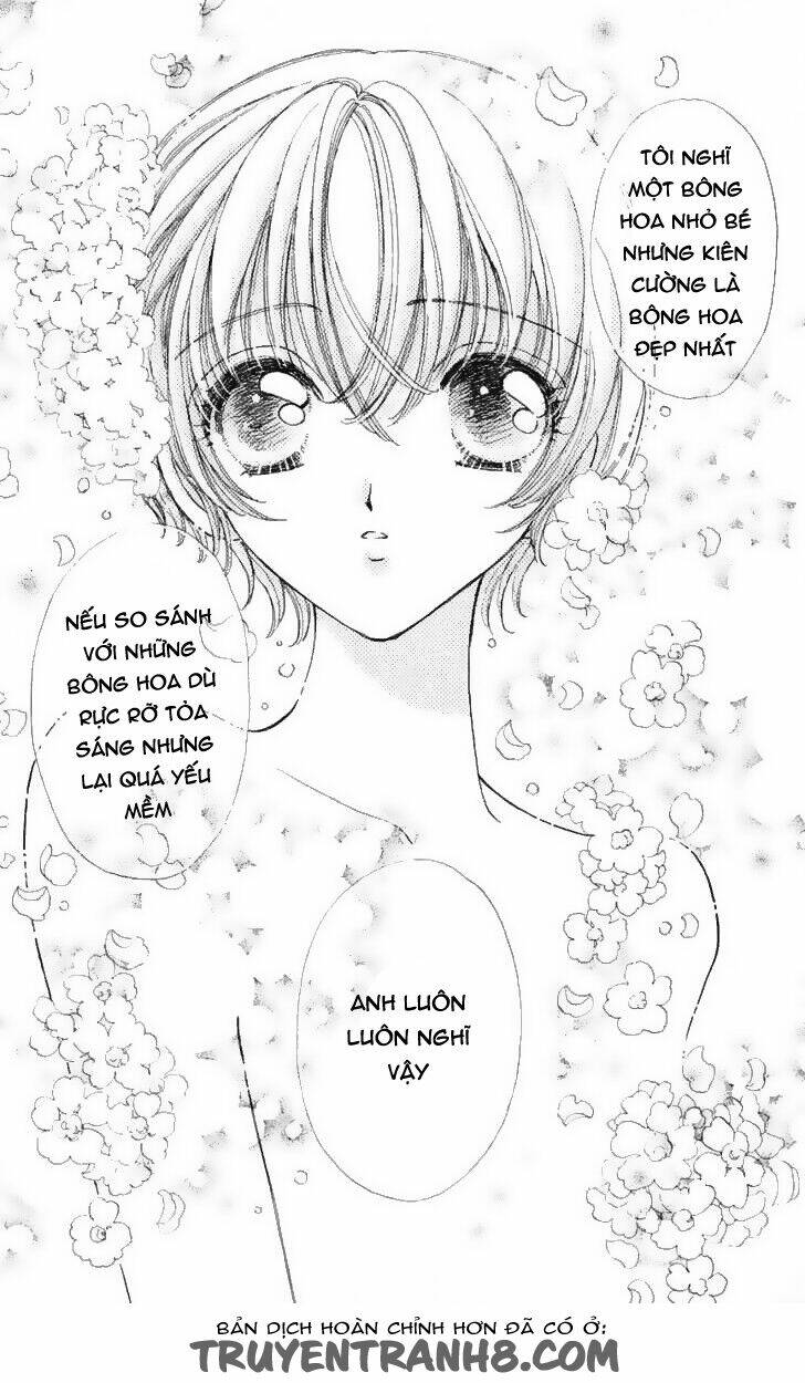 hana ni nare chapter 46 24