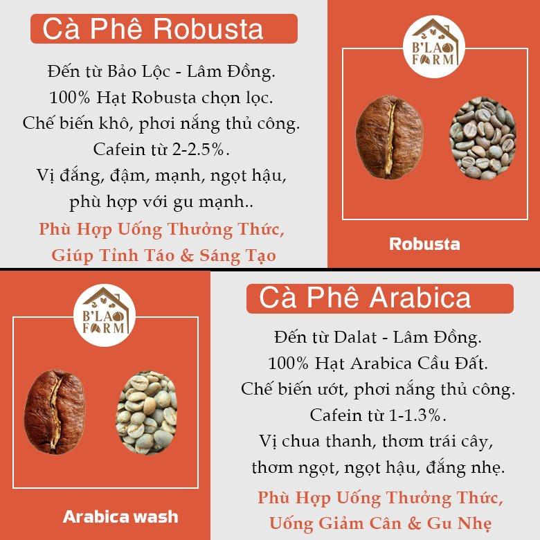 Cà phê nguyên chất BLEND B’Lao Farm 30% cà phê Robusta 70% cà phê Arabica cà phê rang mộc pha phin pha máy ngọt hậu B37