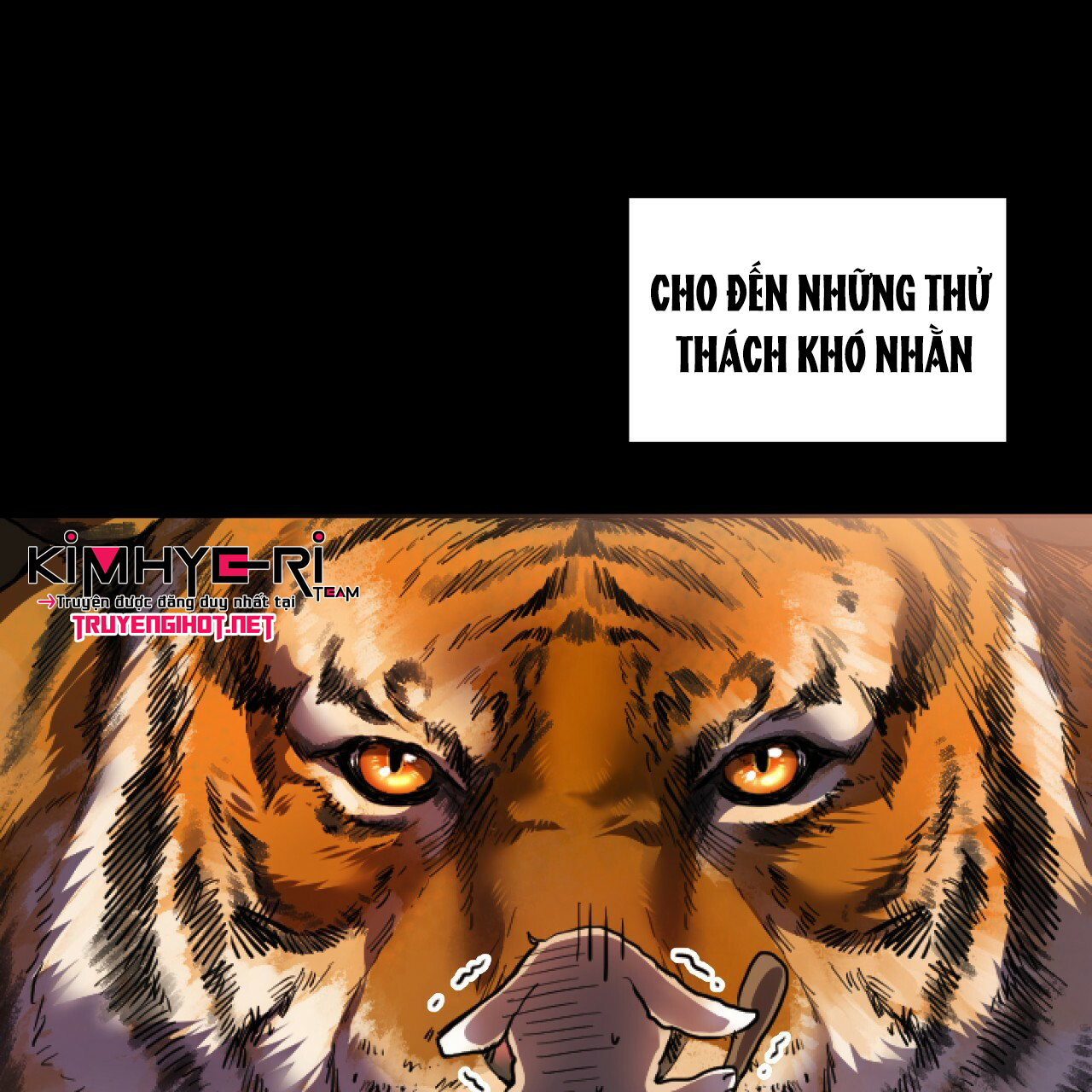 những chú thỏ của hapypy chapter 1 101