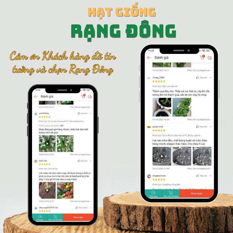 Hạt giống Ớt Xiêm Rado 712 (0,2g~40 hạt) giống cao sản, trái sai, cay nồng, trồng quanh năm - Hạt giống Rạng Đông