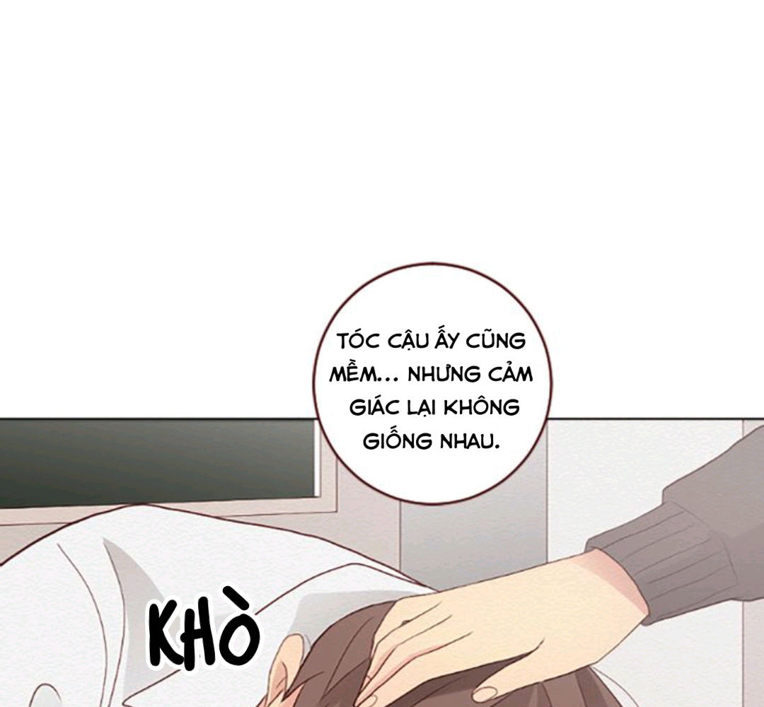 thầm yêu chapter 12 69