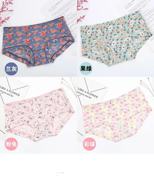 Combo 5 Quần Lót Đúc Hoa Mát Lạnh HM11 Cao Cấp
