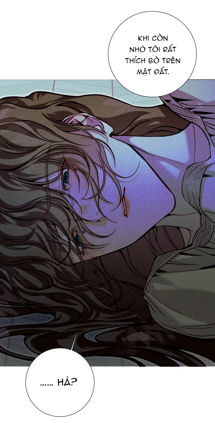 the queen of flies chapter 3.1 46