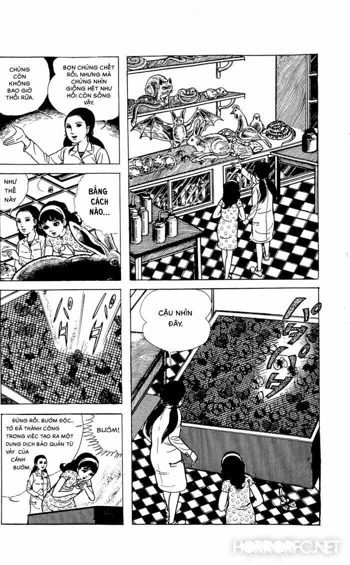 tuyển tập truyện ngắn kinh dị chapter 3 7