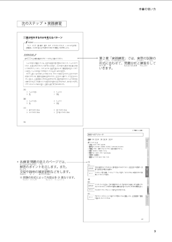 Nihongo Nouryoku Shiken N1 Bunpou Hisshuu Pataan (Japanese Edition)