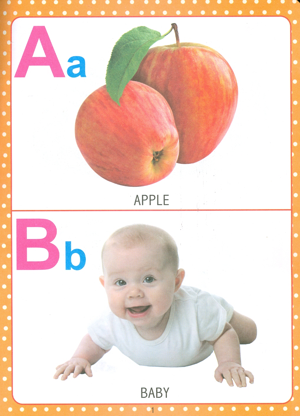 My First Early Learning - Alphabet Book (Bài học đầu tiên của tôi - Sách về bảng chữ cái)