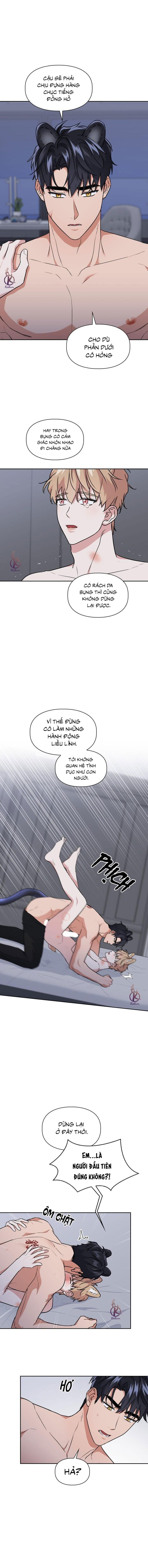 mồi nhử chapter 63 7