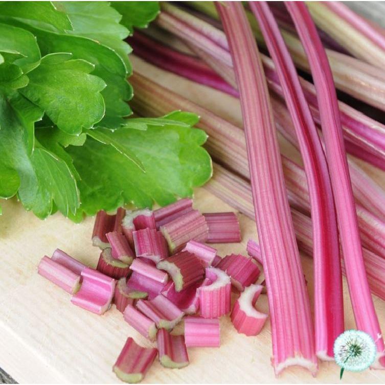 Hạt giống rau cần tây đỏ dể trồng f1 -gói 2gr