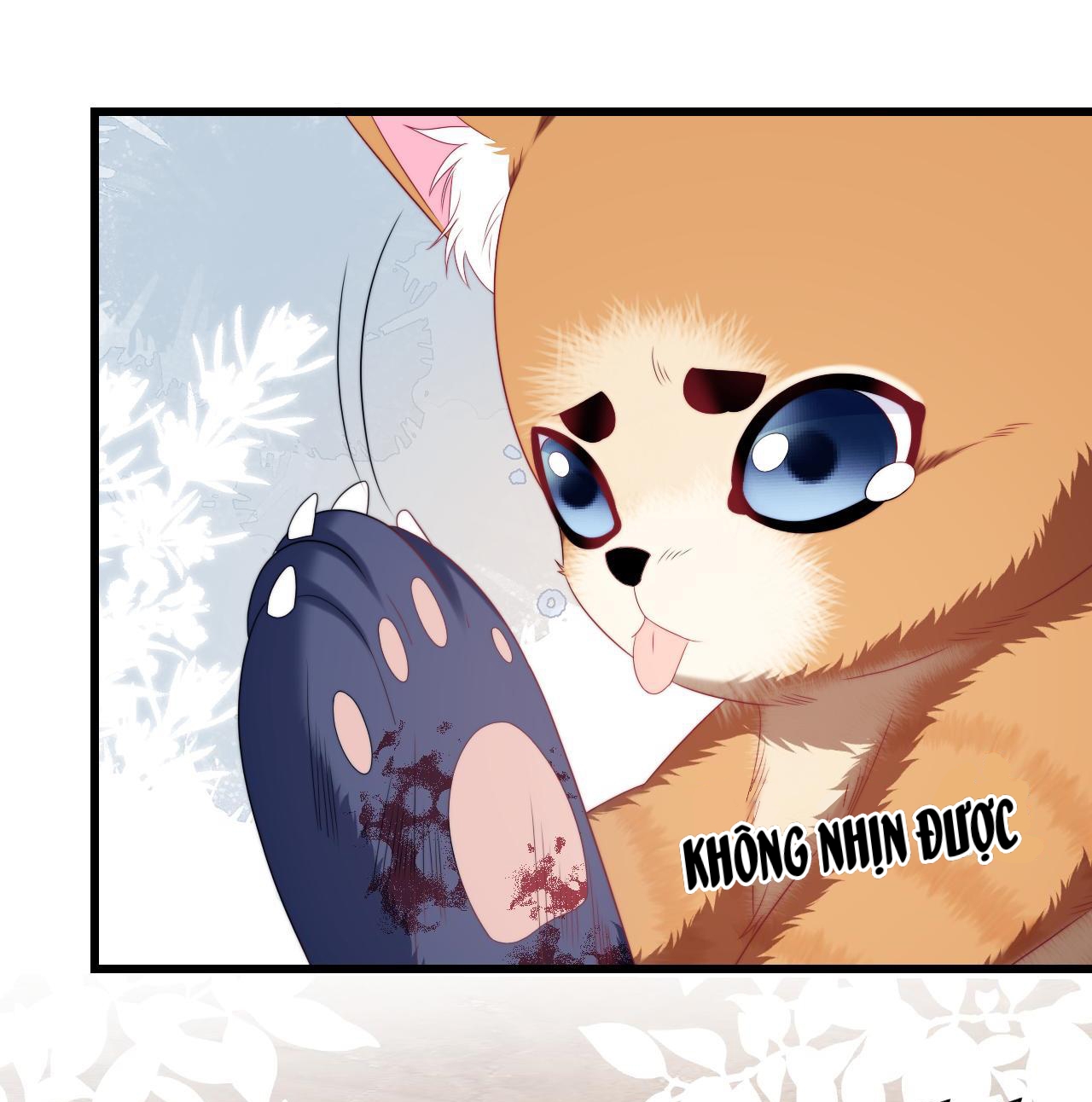 mèo hoang nhỏ của học bá quá chọc người rồi chapter 35 9