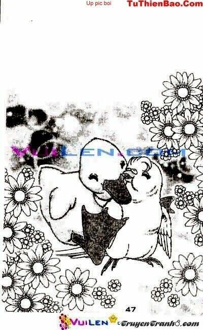 đóa hoa yêu kiều chapter 2 48