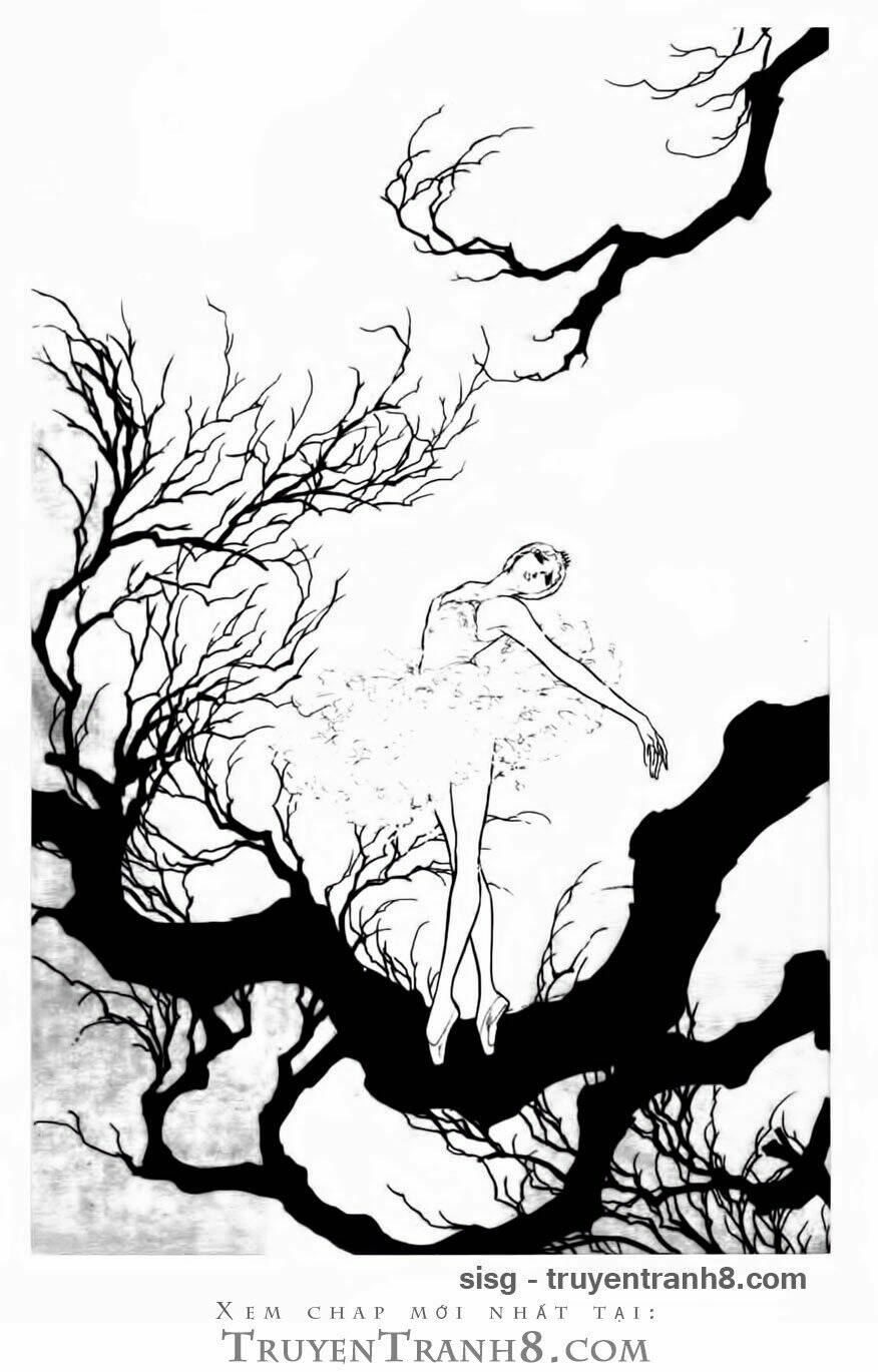 swan - vũ khúc thiên nga chapter 83 16