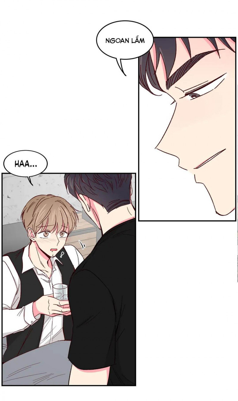 món tráng miệng của sếp tổng chapter 45 12