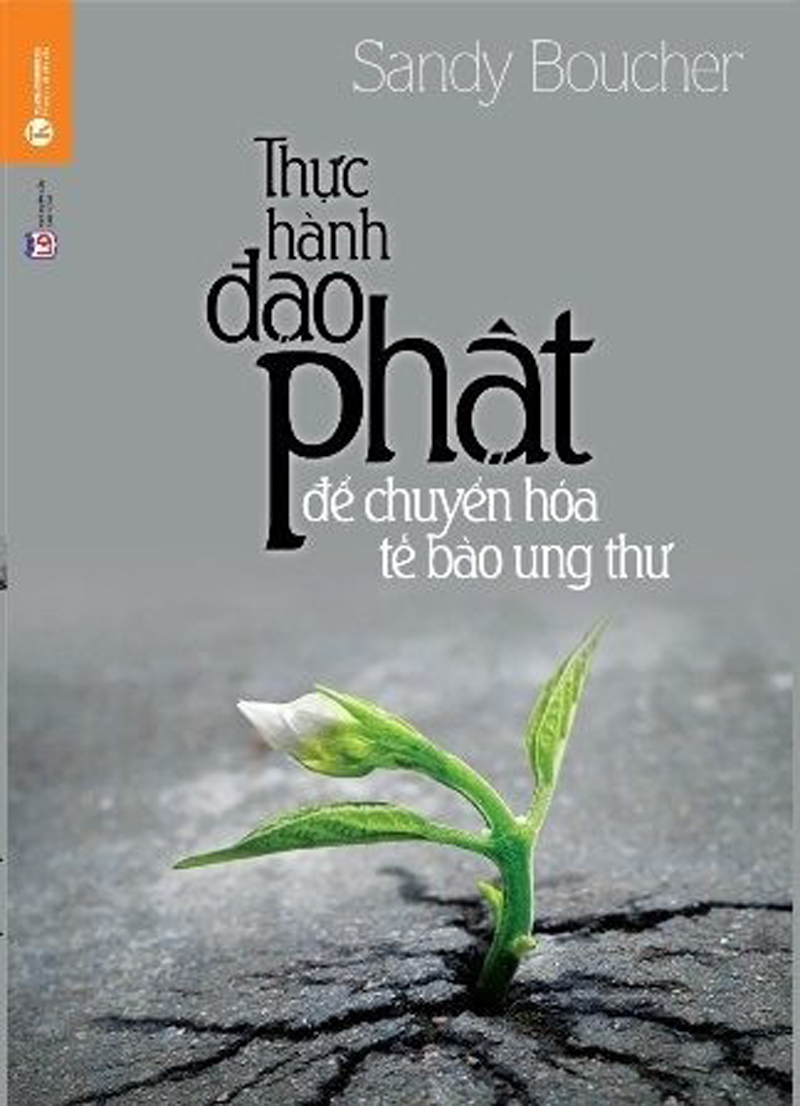 Thực hành đạo Phật để chuyển hóa tế bào ung thư