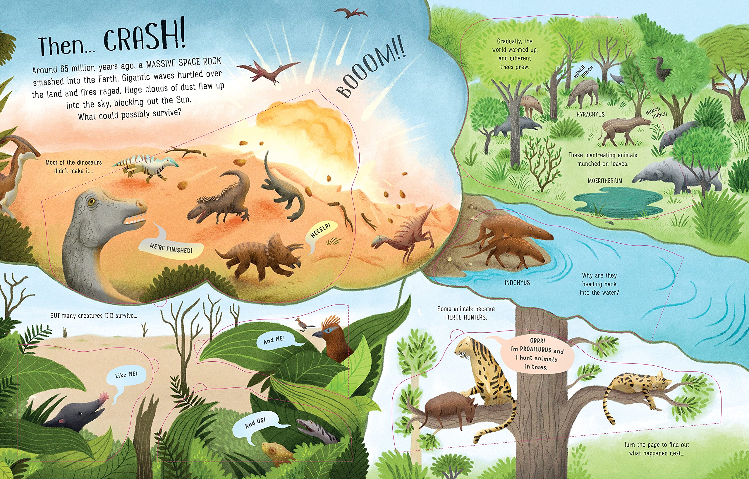 Sách - Anh: See Inside Evolution