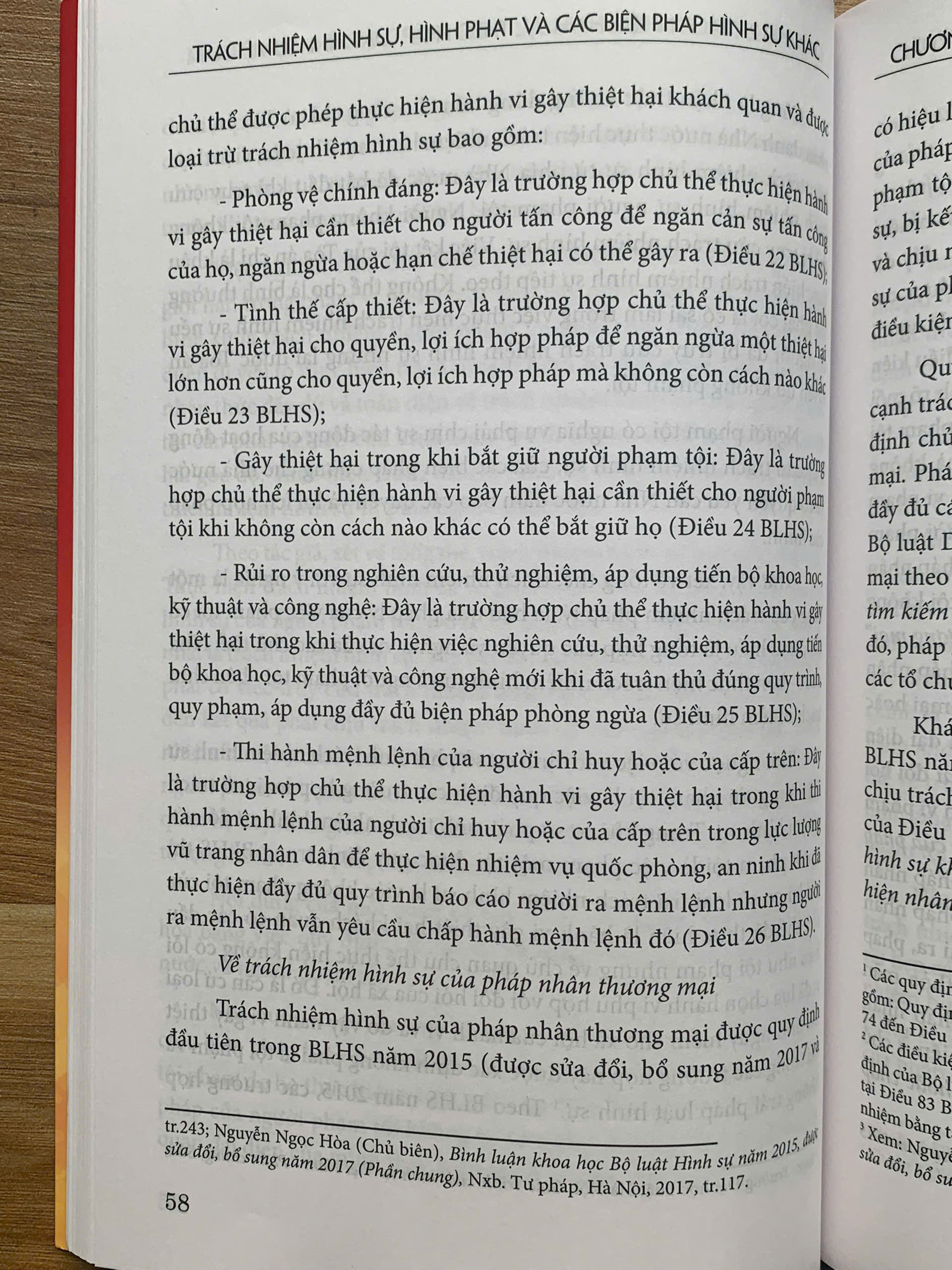 Trách nhiệm hình sự, hình phạt và các biện pháp hình sự khác