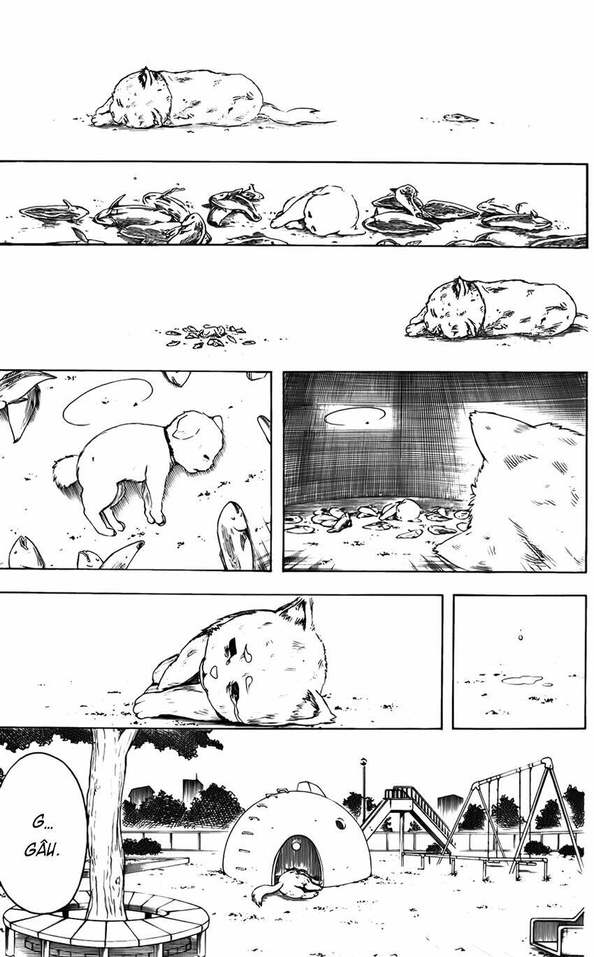 gintama - linh hồn bạc chapter 402 16