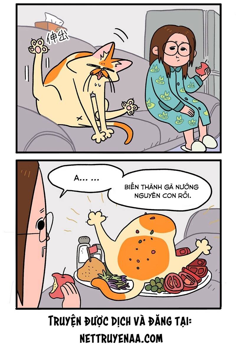 a mãn và mạch trà chapter 9 4