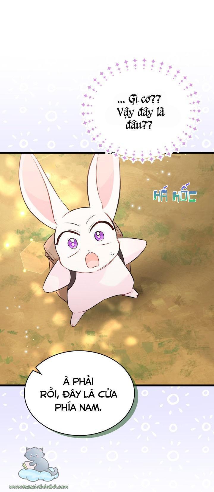 quan hệ cộng sinh giữa báo đen và thỏ trắng chapter 61 76