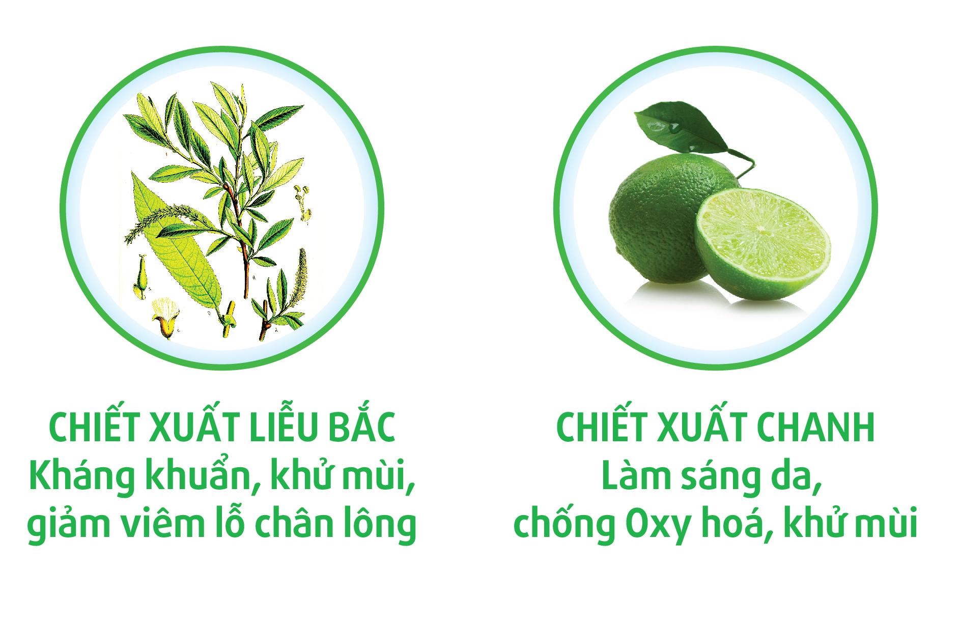 Lăn khử mùi Zuchi (Men) – Hương Mạnh Mẽ