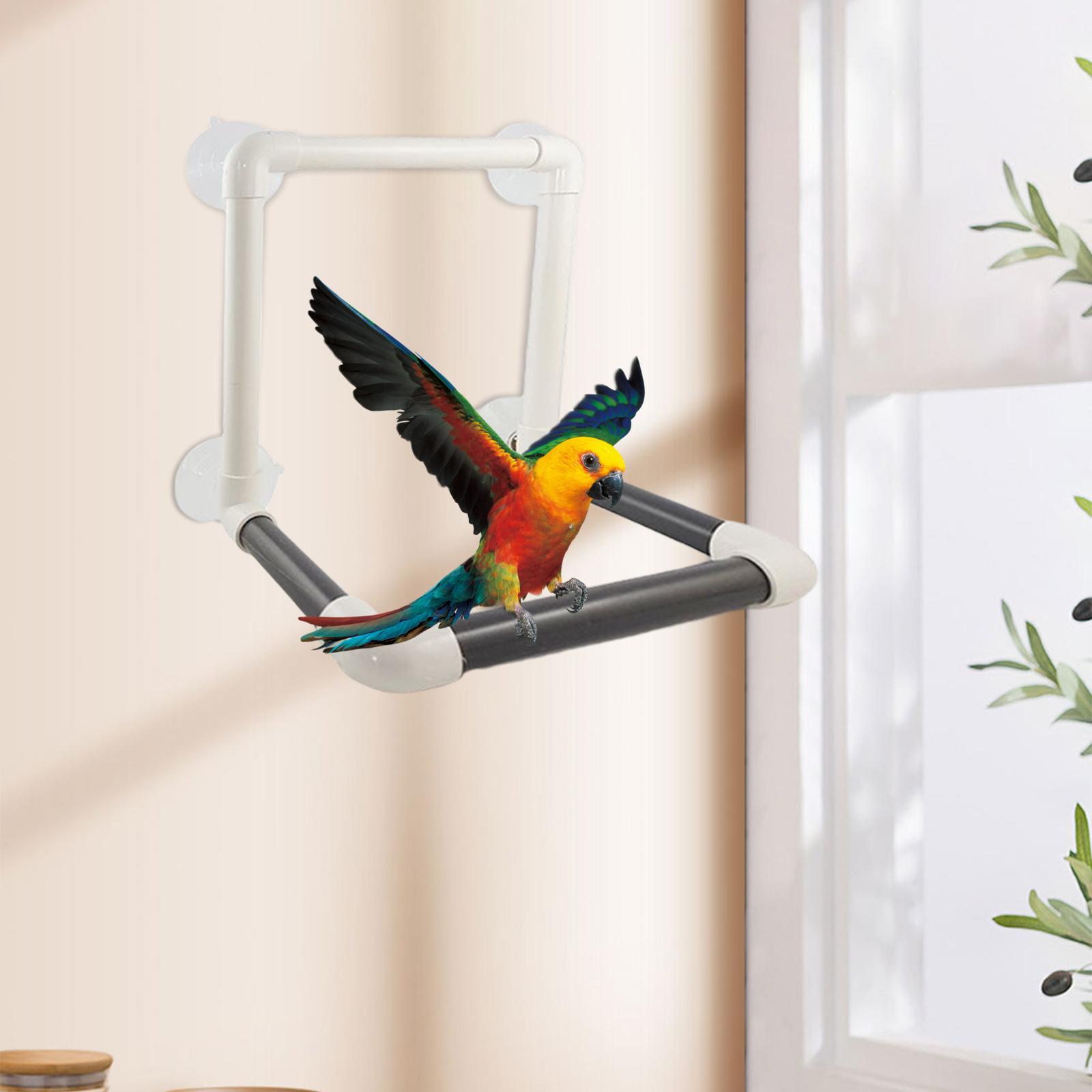 Bird Perch Stand Parrot Shower Stand Suction Cup Standing Toy Window Play