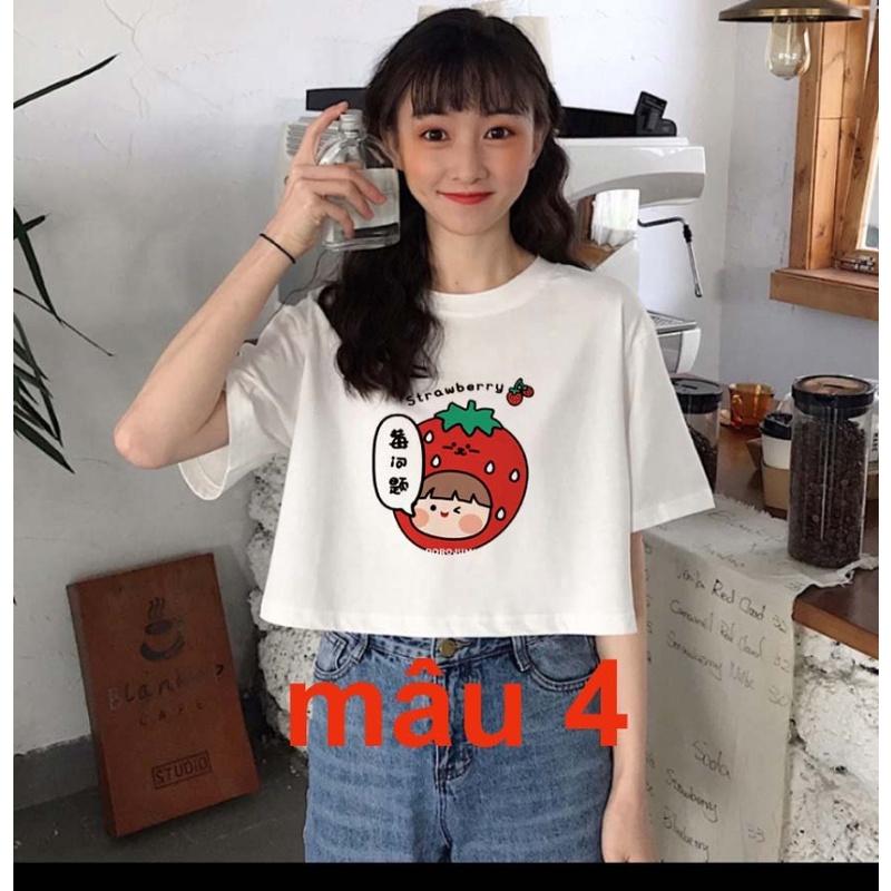 Các mẫu Áo croptop bé gái các hoạt động dễ thương