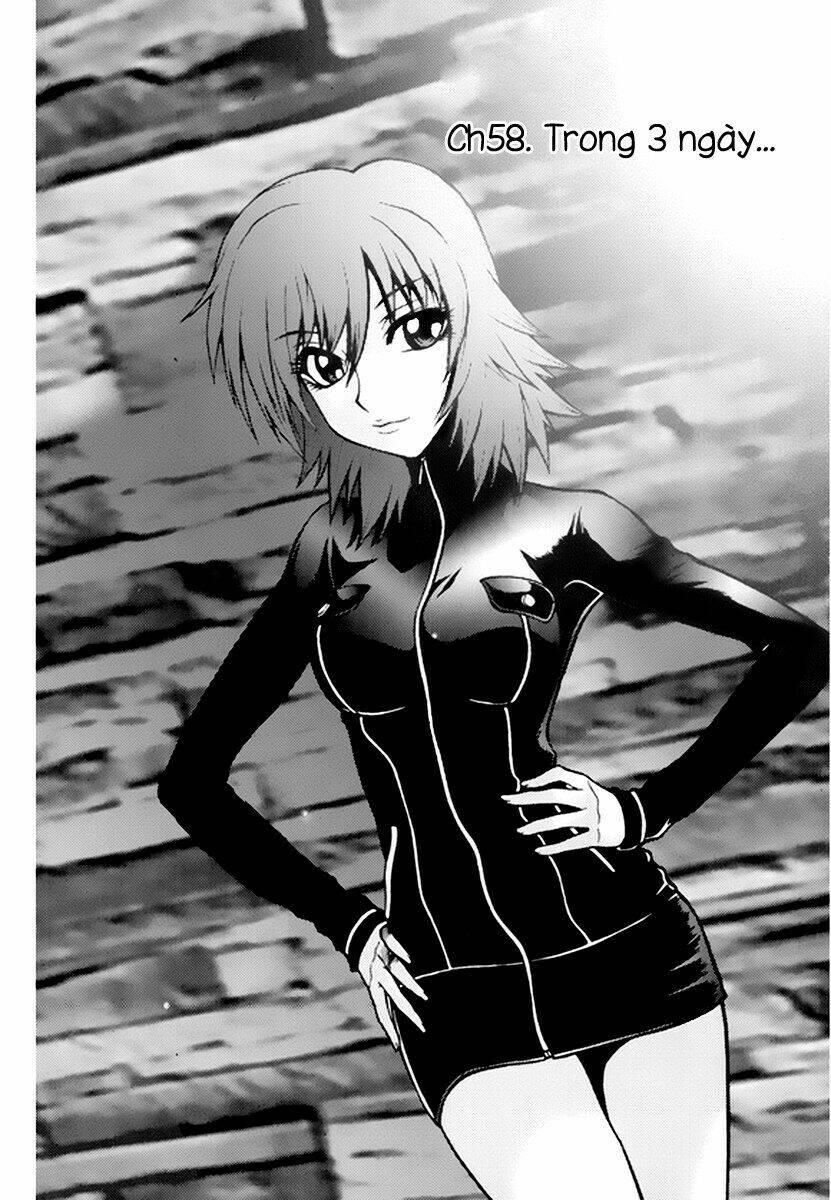 zippy ziggy chapter 58 1