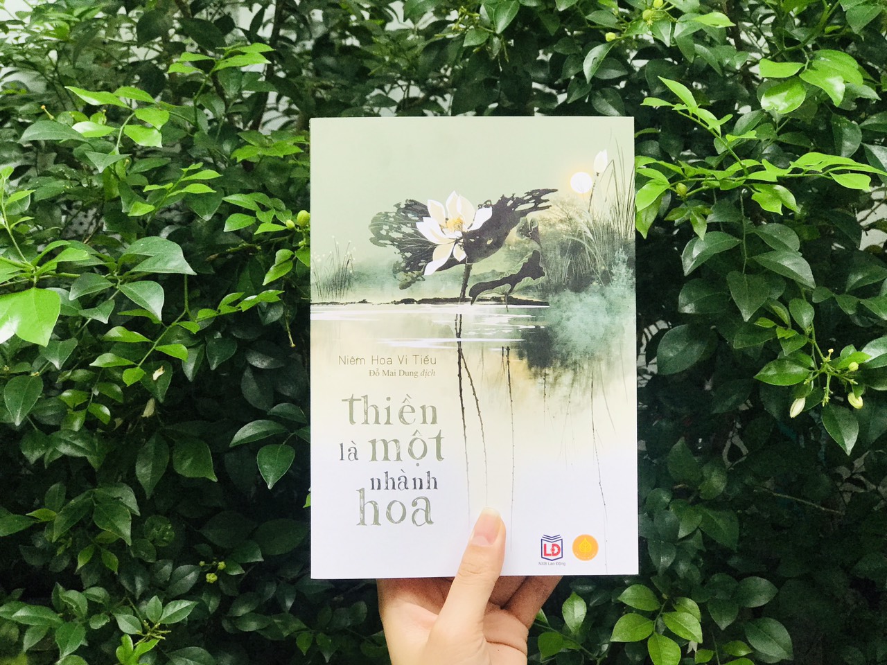 Sách Thiền là một nhành hoa