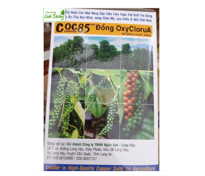 2 GÓI CURENOX OC 85 WP - PHÒNG TRỊ NẤM BỆNH, DIỆT VI KHUẨN, TĂNG CƯỜNG THÊM VI LƯỢNG ĐỒNG GIÚP CÂY PHÁT TRIỂN TỐT, TĂNG NĂNG SUẤT VÀ CHẤT LƯỢNG