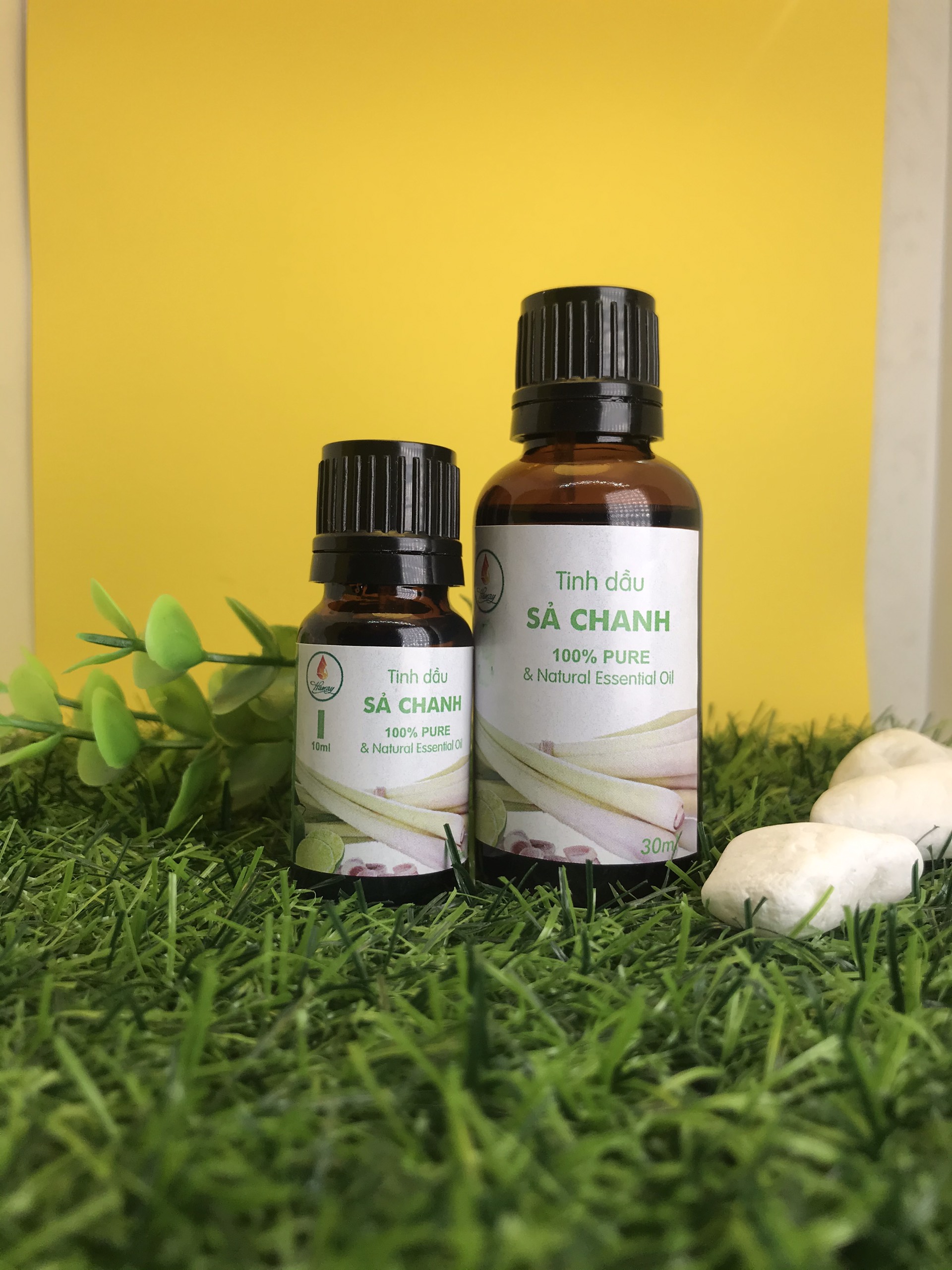 Tinh dầu Sả Chanh nguyên chất 10ml Hamay