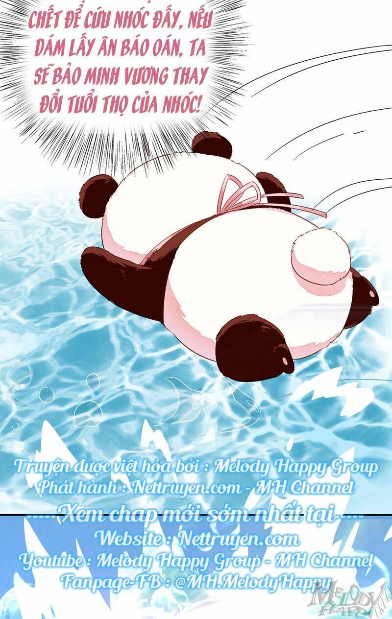thiên thần gấu trúc muốn được ôm chapter 47 6