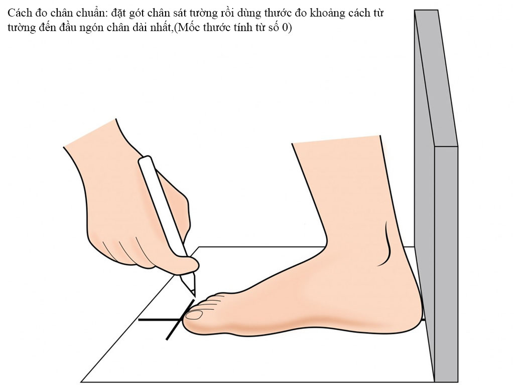 Giày sandal cho bé trai đi học từ 4 - 12 tuổi mềm êm PD503