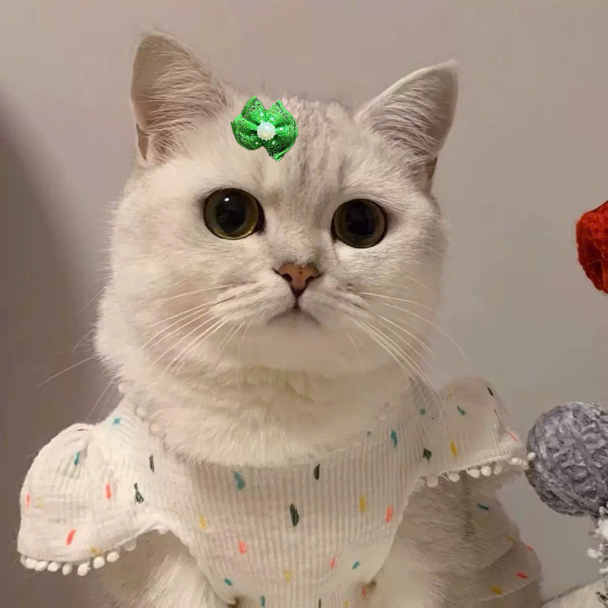 NƠ KẸP TÓC SANG TRỌNG NHIỀU MÀU DỄ THƯƠNG MÃ 17 XINH XẮN CHO THÚ CƯNG CHÓ MÈO