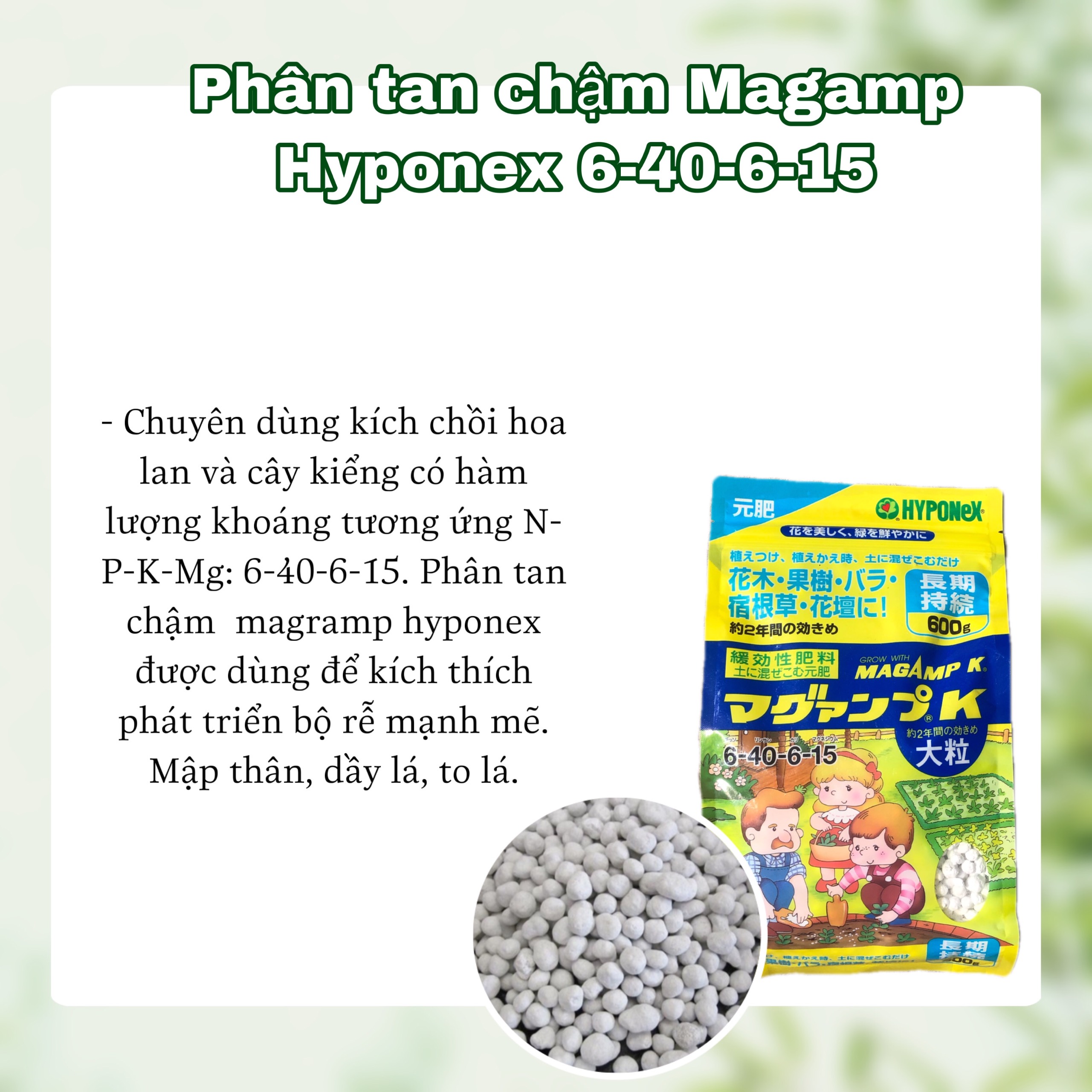 PHÂN TAN CHẬM NHẬT BẢN HYPONEX MAGAM K 6-40-6-15 - 600g