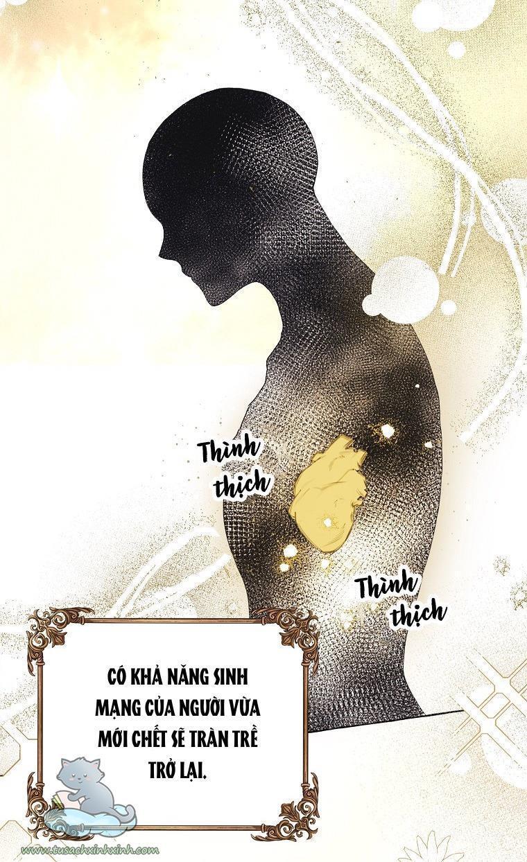 tháng năm cuối cùng của nữ phụ đoản mệnh chapter 15 32