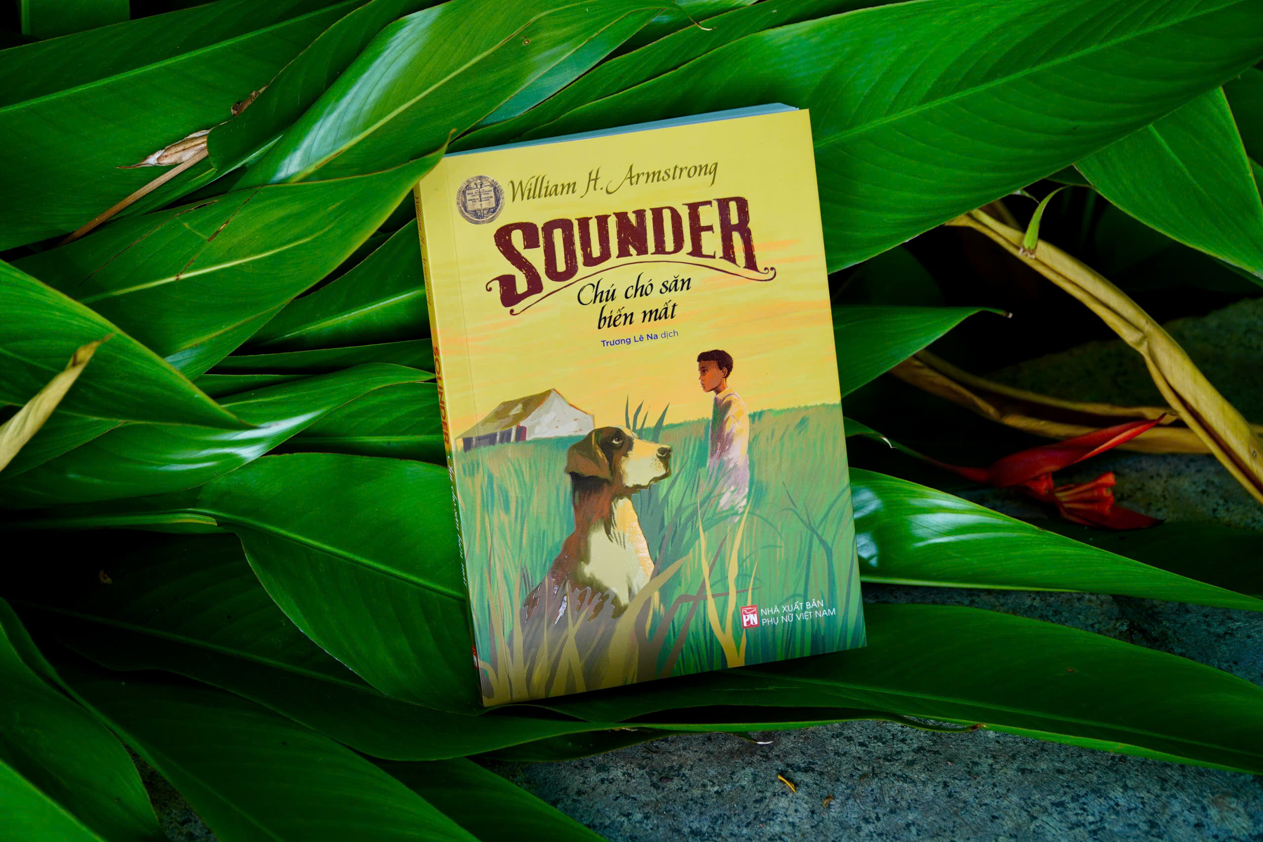 SOUNDER – Chú Chó Săn Biến Mất