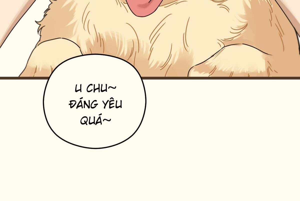 tương phùng chapter 27 60