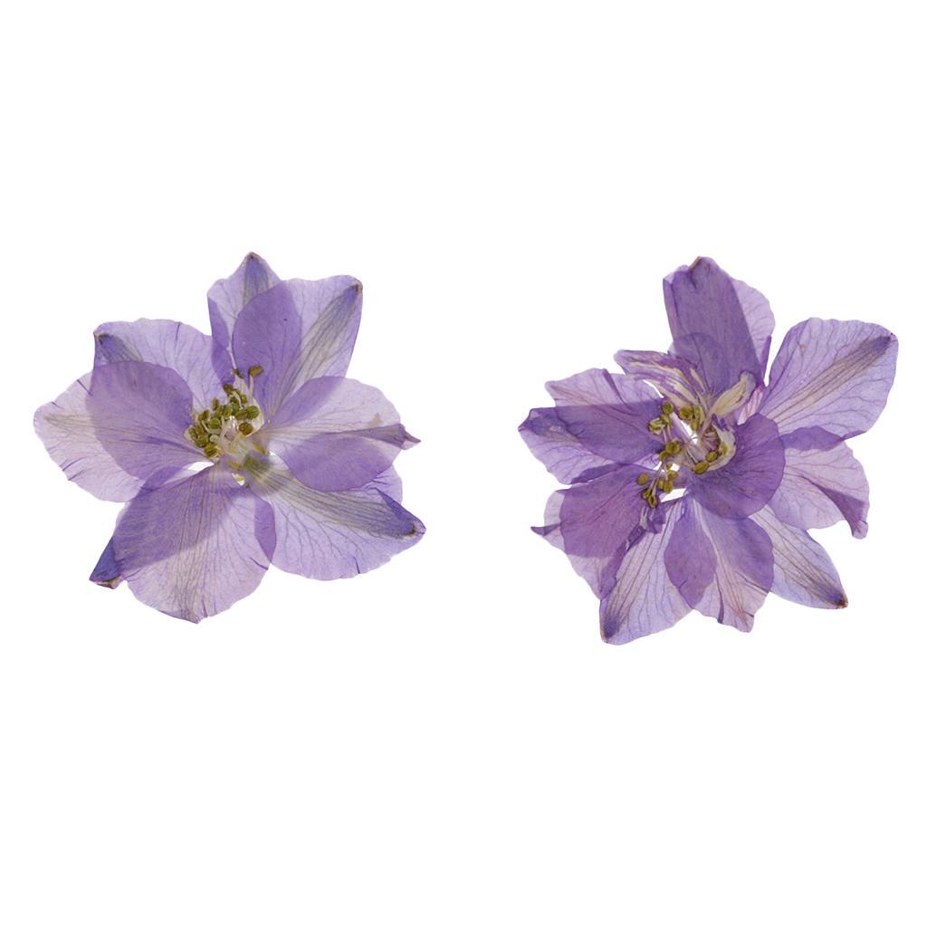 24x Natural Pressed Dried Larkspur Flowers Crafts Supplies Christmas Gifts