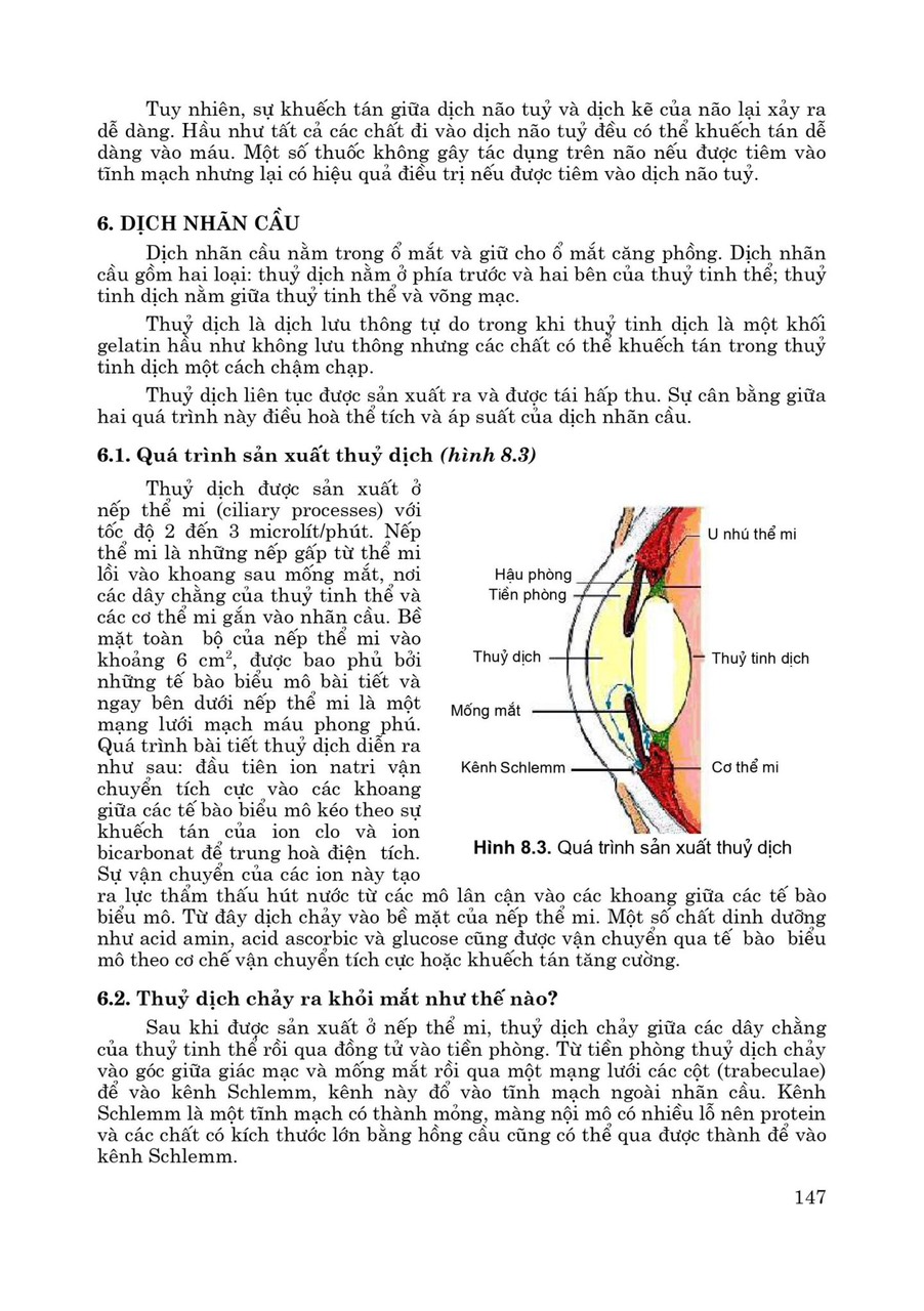 Sinh Lý Học (Sách đào tạo bác sĩ đa khoa) (Xuất bản lần thứ 6 có sửa chữa, bổ sung)