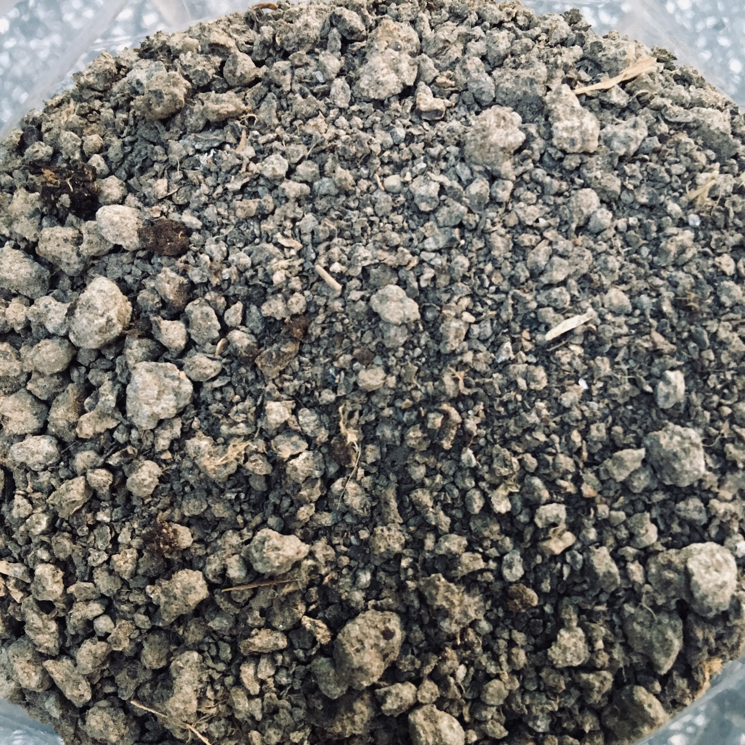 1KG PHÂN GÀ KHÔ NHẬT BẢN ĐÃ QUA XỬ LÝ - SẢN PHẨM Y HÌNH