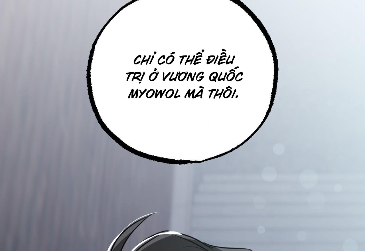 những chú thỏ của hapypy chapter 60 89